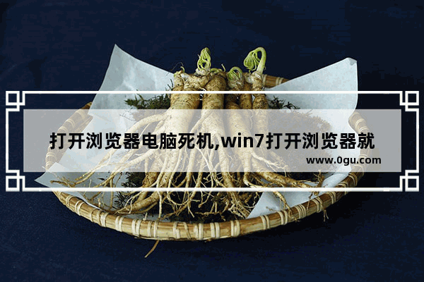 打开浏览器电脑死机,win7打开浏览器就卡死