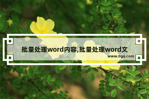 批量处理word内容,批量处理word文档格式