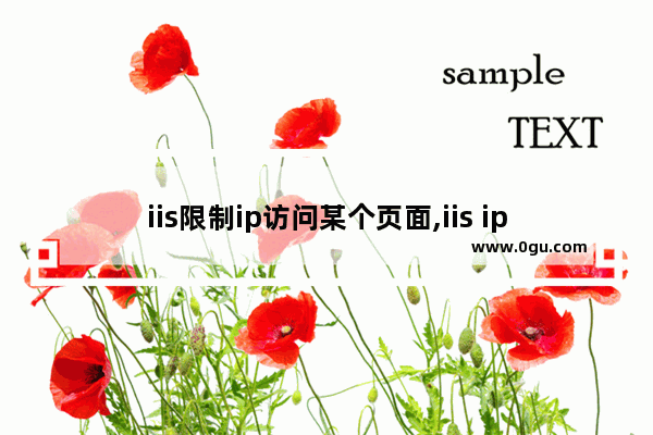 iis限制ip访问某个页面,iis ip限制