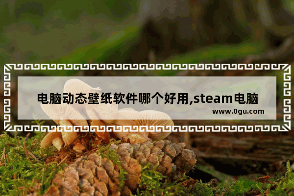 电脑动态壁纸软件哪个好用,steam电脑动态壁纸软件哪个好