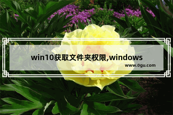 win10获取文件夹权限,windowsapp访问权限