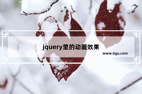 jquery里的动画效果