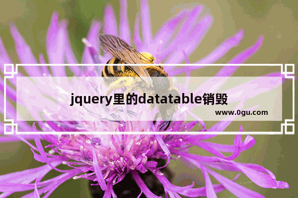 jquery里的datatable销毁