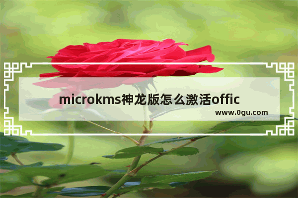 microkms神龙版怎么激活office2019,micro神龙版激活Office失败