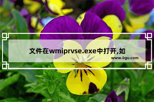 文件在wmiprvse.exe中打开,如何关闭,wmiprvse.exe应用程序错误