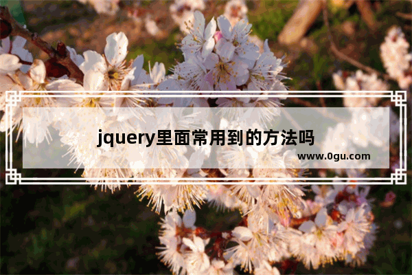 jquery里面常用到的方法吗