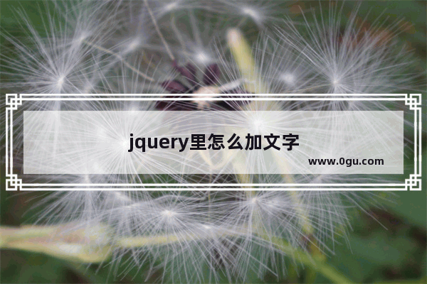 jquery里怎么加文字