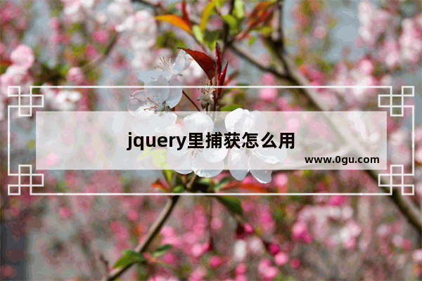 jquery里捕获怎么用