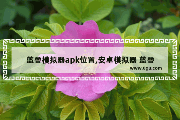 蓝叠模拟器apk位置,安卓模拟器 蓝叠