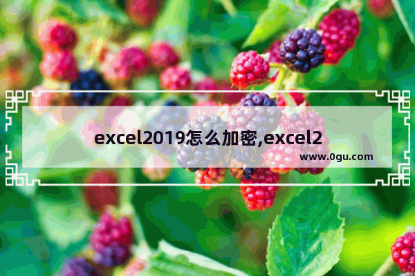 excel2019怎么加密,excel2019加密文件怎样取消加密