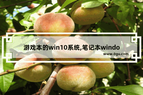 游戏本的win10系统,笔记本window10能玩什么游戏