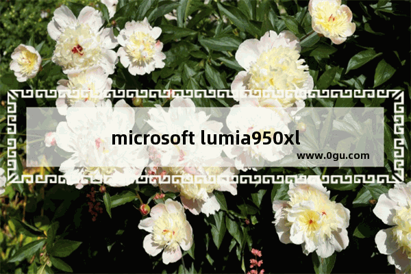 microsoft lumia950xl,lumia950xl win10arm