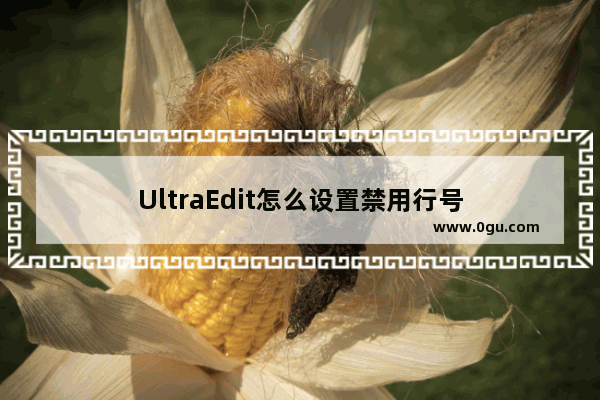 UltraEdit怎么设置禁用行号