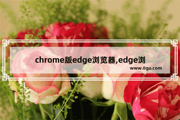 chrome版edge浏览器,edge浏览器好用的扩展