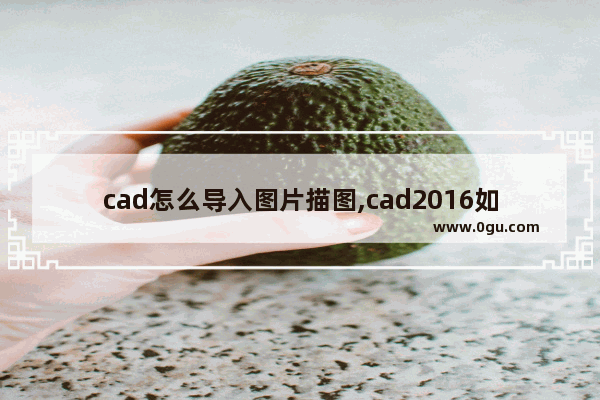 cad怎么导入图片描图,cad2016如何导入图片描图