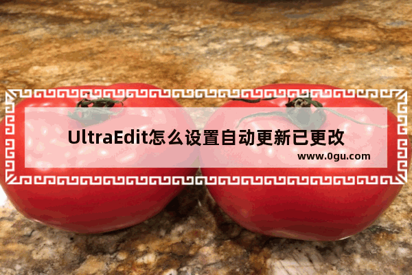 UltraEdit怎么设置自动更新已更改的文件