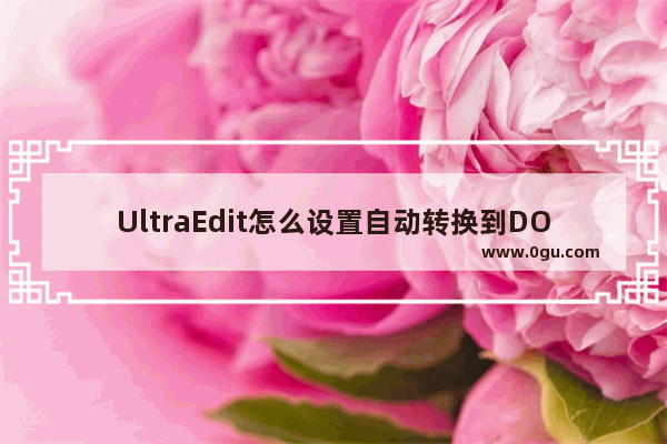 UltraEdit怎么设置自动转换到DOS格式