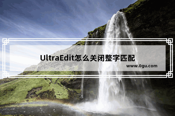 UltraEdit怎么关闭整字匹配