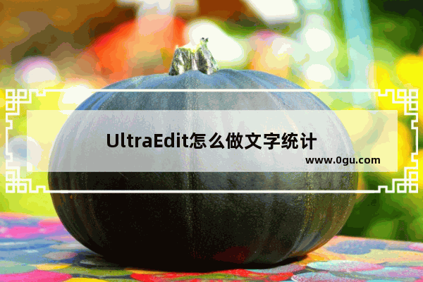 UltraEdit怎么做文字统计