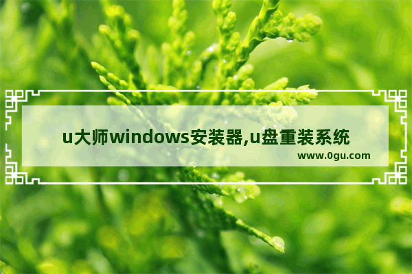 u大师windows安装器,u盘重装系统win10