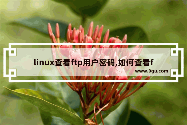 linux查看ftp用户密码,如何查看ftp用户名密码