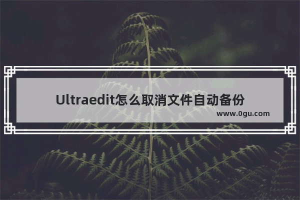 Ultraedit怎么取消文件自动备份