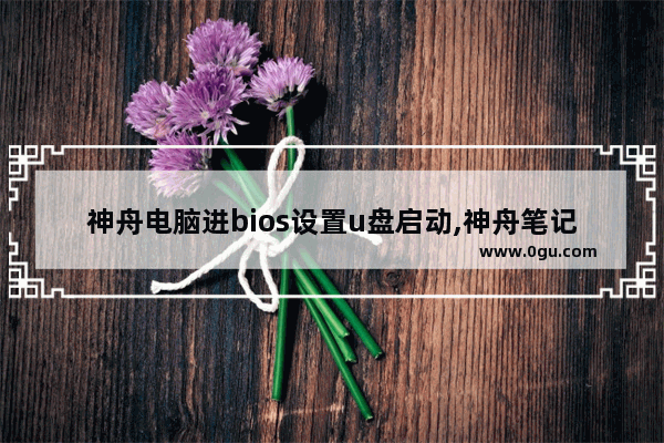 神舟电脑进bios设置u盘启动,神舟笔记本bios设置u盘启动项