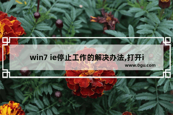 win7 ie停止工作的解决办法,打开ie报错已停止工作