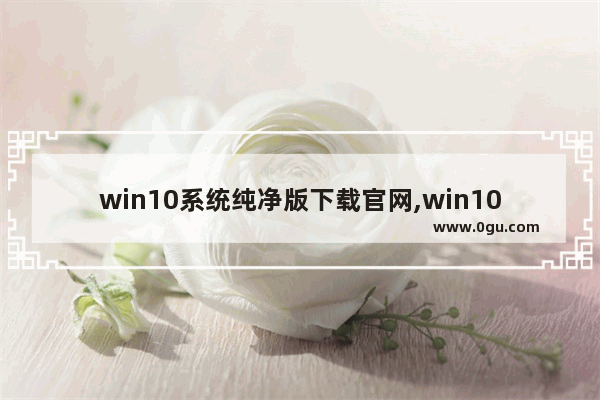 win10系统纯净版下载官网,win10专业版纯净系统下载