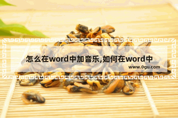 怎么在word中加音乐,如何在word中添加音乐