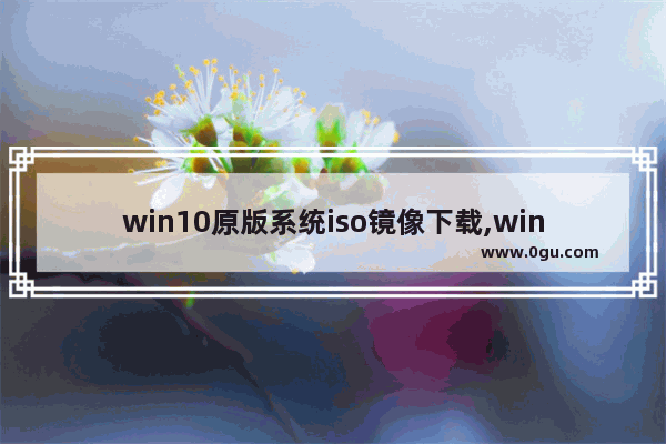 win10原版系统iso镜像下载,win10镜像iso安装教程