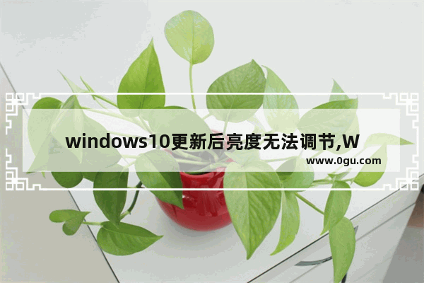 windows10更新后亮度无法调节,Windows11亮度调节失效