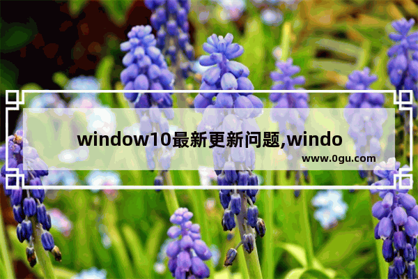 window10最新更新问题,windows10 12月更新