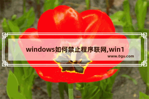 windows如何禁止程序联网,win10禁止程序联网 方法