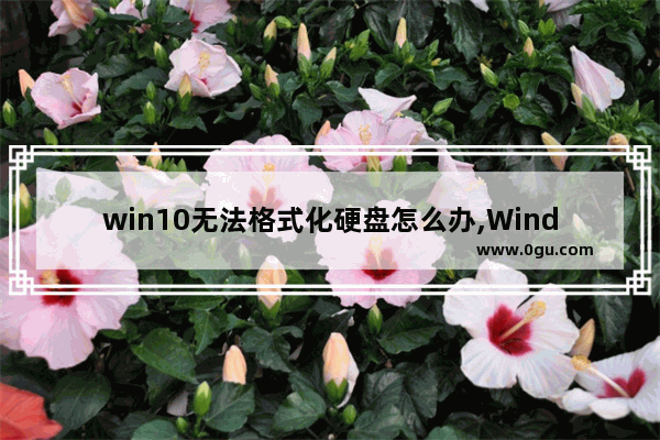 win10无法格式化硬盘怎么办,Windows无法格式化磁盘