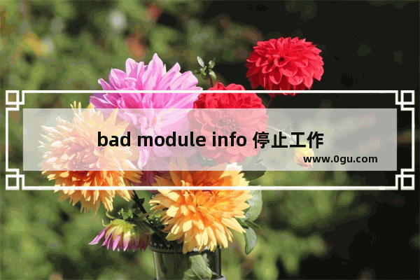 bad module info 停止工作,win10终止代码bad system config info