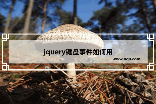 jquery键盘事件如何用