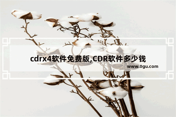 cdrx4软件免费版,CDR软件多少钱