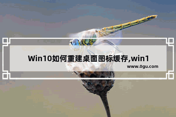 Win10如何重建桌面图标缓存,win10怎么重建图标缓存