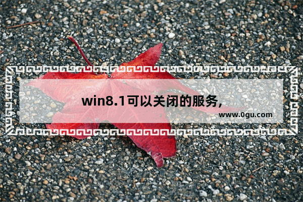 win8.1可以关闭的服务,