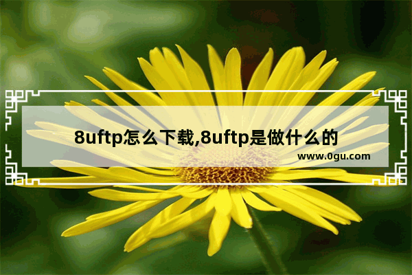 8uftp怎么下载,8uftp是做什么的