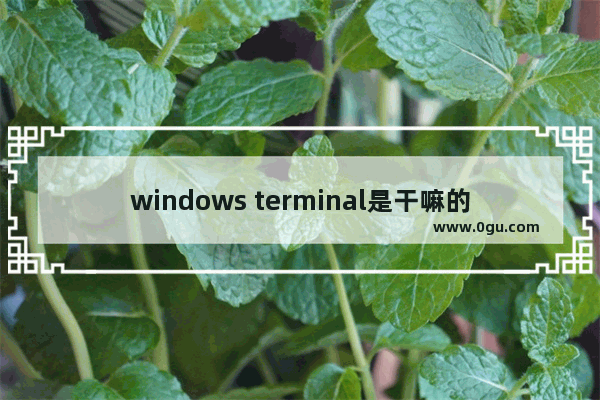 windows terminal是干嘛的,Window Terminal