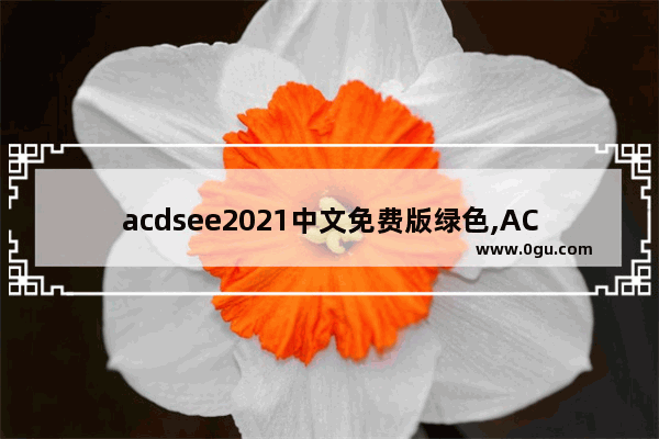 acdsee2021中文免费版绿色,ACDsee9.0简体中文版