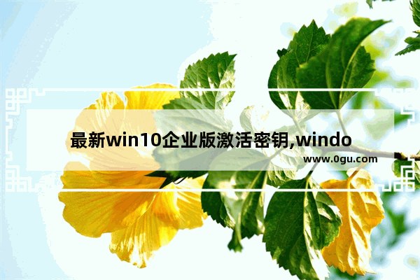 最新win10企业版激活密钥,windows10企业版激活密钥