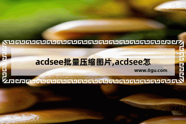 acdsee批量压缩图片,acdsee怎么压缩图片大小小于200k