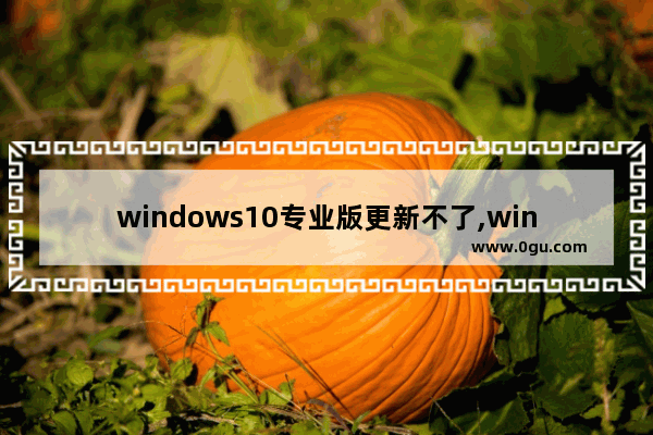 windows10专业版更新不了,win10系统更新后桌面点不了