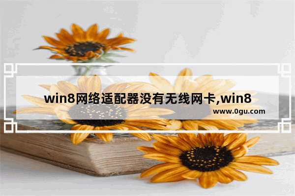 win8网络适配器没有无线网卡,win8.1系统没有无线网卡驱动