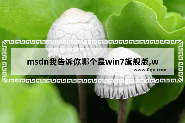 msdn我告诉你哪个是win7旗舰版,win7系统版本英文