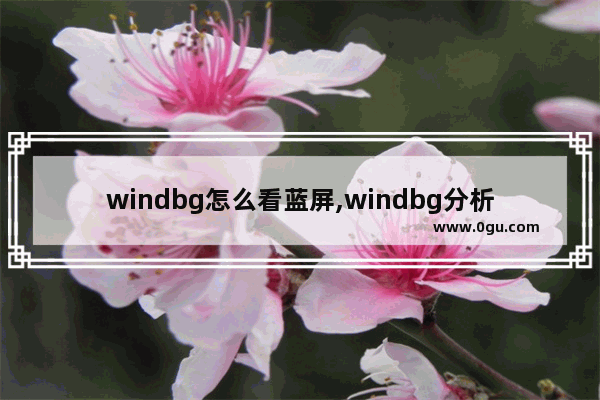 windbg怎么看蓝屏,windbg分析dmp蓝屏文件