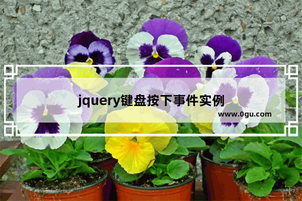 jquery键盘按下事件实例